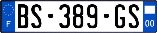 BS-389-GS