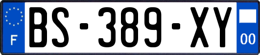 BS-389-XY