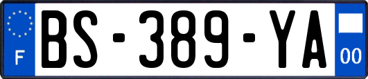 BS-389-YA