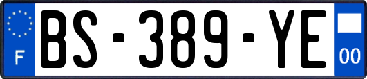 BS-389-YE