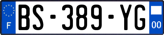 BS-389-YG