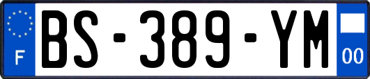 BS-389-YM
