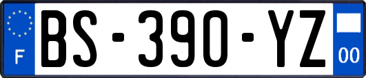 BS-390-YZ