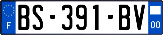 BS-391-BV