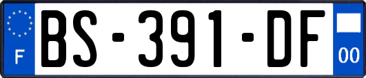 BS-391-DF