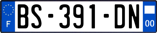 BS-391-DN