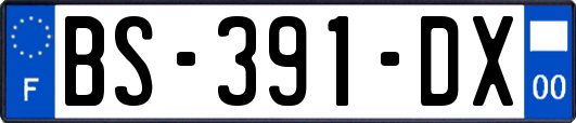 BS-391-DX