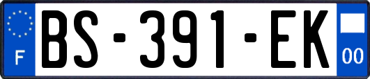 BS-391-EK