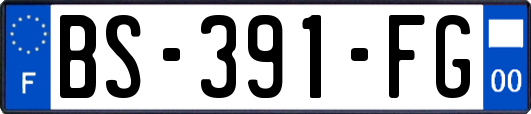 BS-391-FG