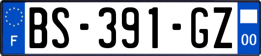 BS-391-GZ