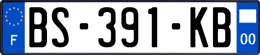 BS-391-KB