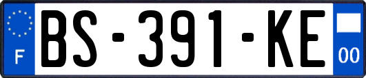 BS-391-KE