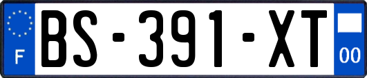 BS-391-XT