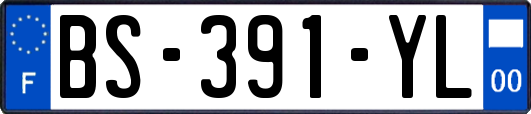 BS-391-YL