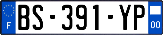 BS-391-YP