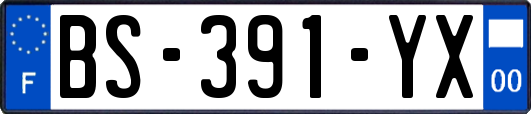 BS-391-YX