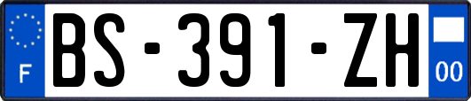 BS-391-ZH