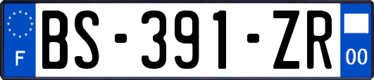 BS-391-ZR