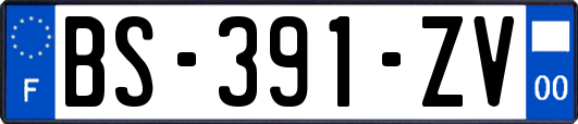 BS-391-ZV