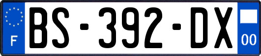 BS-392-DX