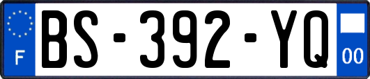 BS-392-YQ
