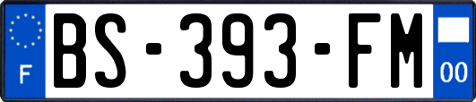 BS-393-FM