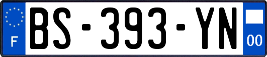 BS-393-YN