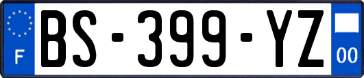 BS-399-YZ