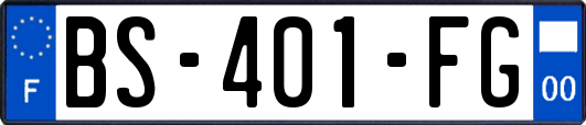 BS-401-FG