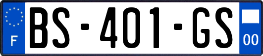 BS-401-GS