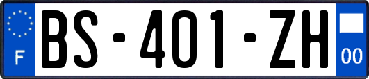 BS-401-ZH