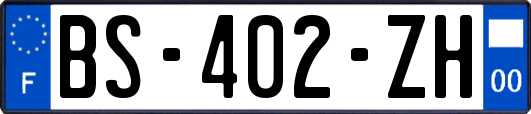 BS-402-ZH