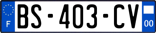 BS-403-CV