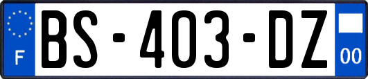 BS-403-DZ