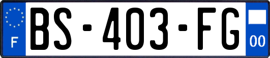 BS-403-FG