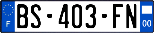 BS-403-FN