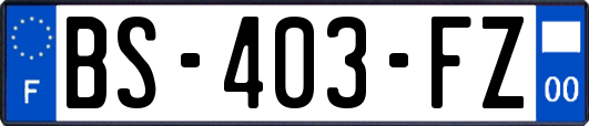 BS-403-FZ