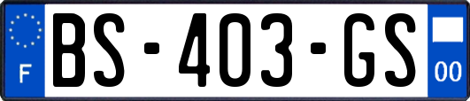 BS-403-GS