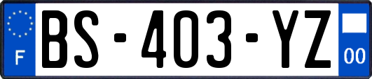 BS-403-YZ