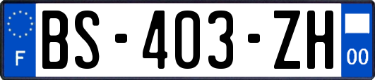 BS-403-ZH