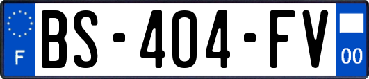 BS-404-FV