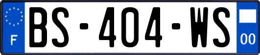BS-404-WS