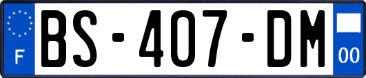 BS-407-DM