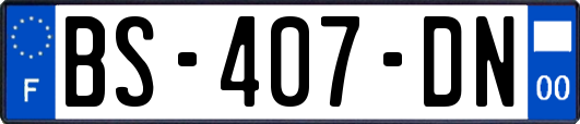 BS-407-DN