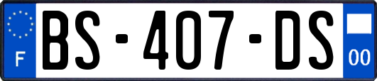 BS-407-DS