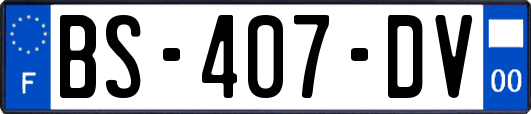 BS-407-DV