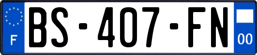 BS-407-FN