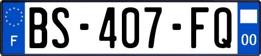 BS-407-FQ