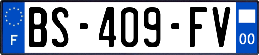 BS-409-FV