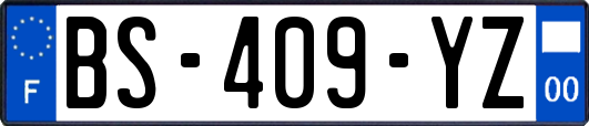 BS-409-YZ